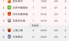 米兰体育登录-包含鲁能主场击败深圳，稳固积分榜前列位置的词条