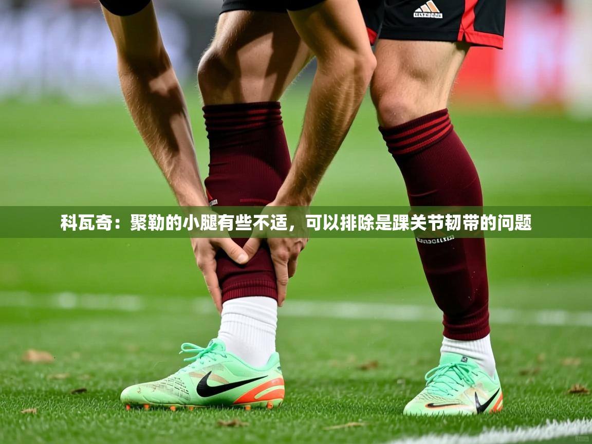 2025米兰体育官网科瓦奇：聚勒的小腿有些不适，可以排除是踝关节韧带的问题  第1张