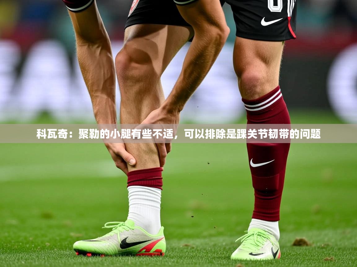 2025米兰体育官网科瓦奇：聚勒的小腿有些不适，可以排除是踝关节韧带的问题  第2张