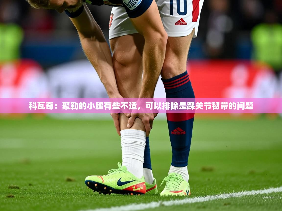 2025米兰体育官网科瓦奇：聚勒的小腿有些不适，可以排除是踝关节韧带的问题  第3张