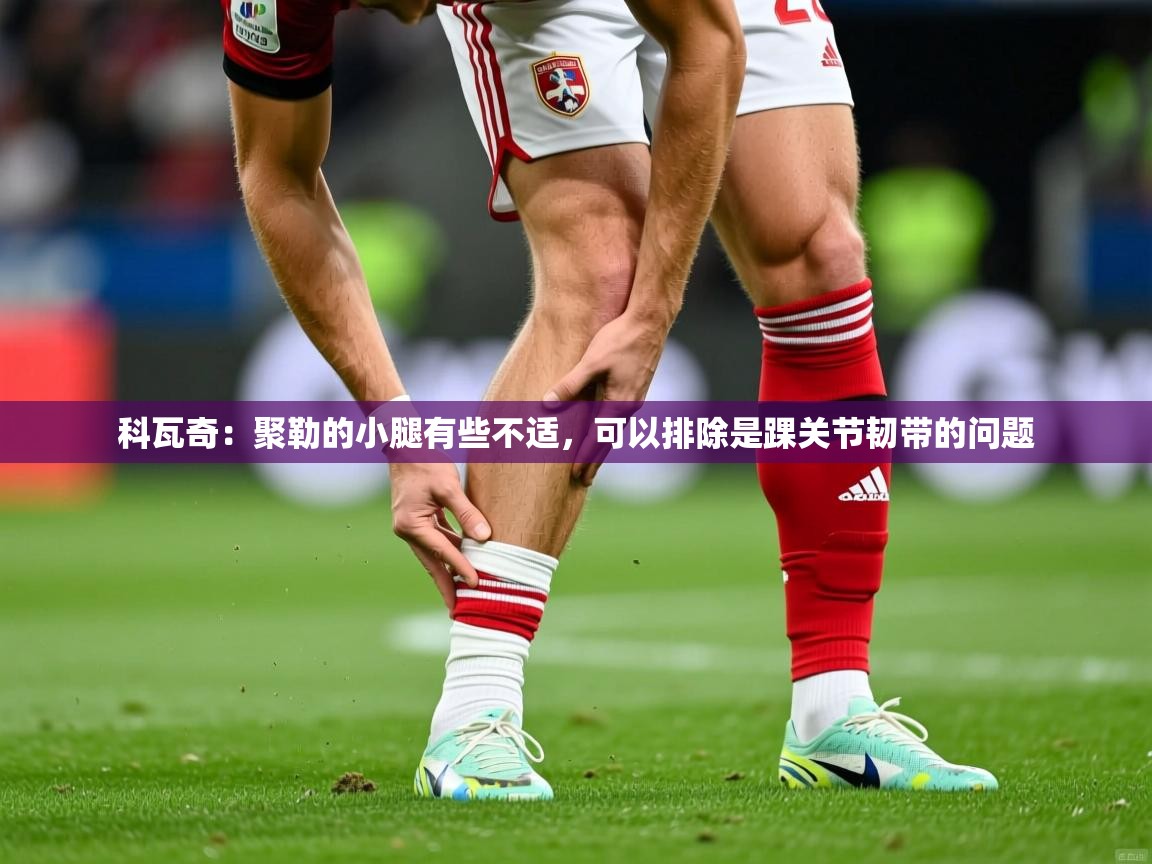 2025米兰体育官网科瓦奇：聚勒的小腿有些不适，可以排除是踝关节韧带的问题  第4张