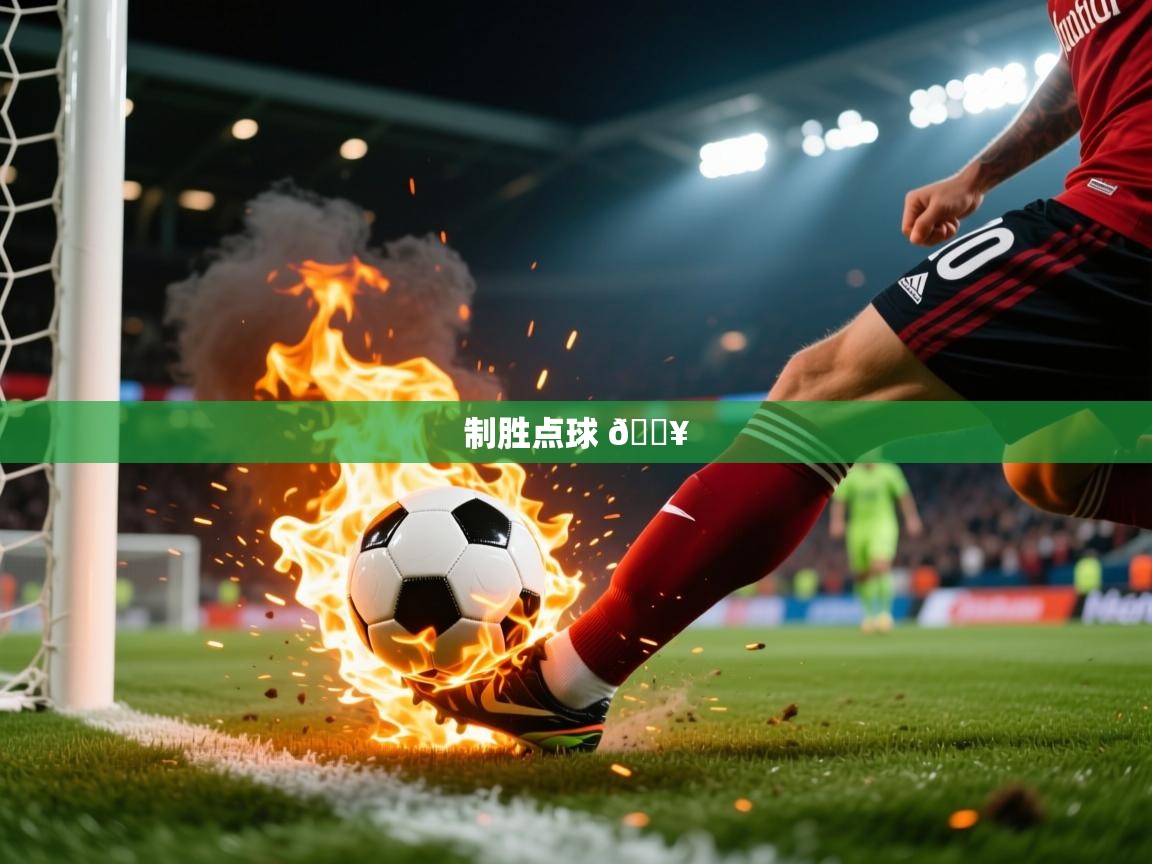 2025米兰体育报制胜点球 🔥  第1张
