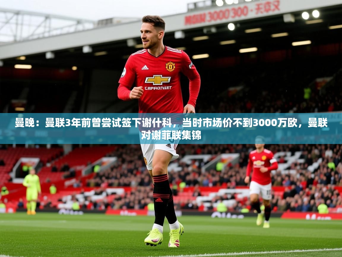 2025米兰体育官方有实力曼晚:曼联3年前曾尝试签下谢什科,当时市场价不到3000万欧,曼联对谢菲联集锦 第3张