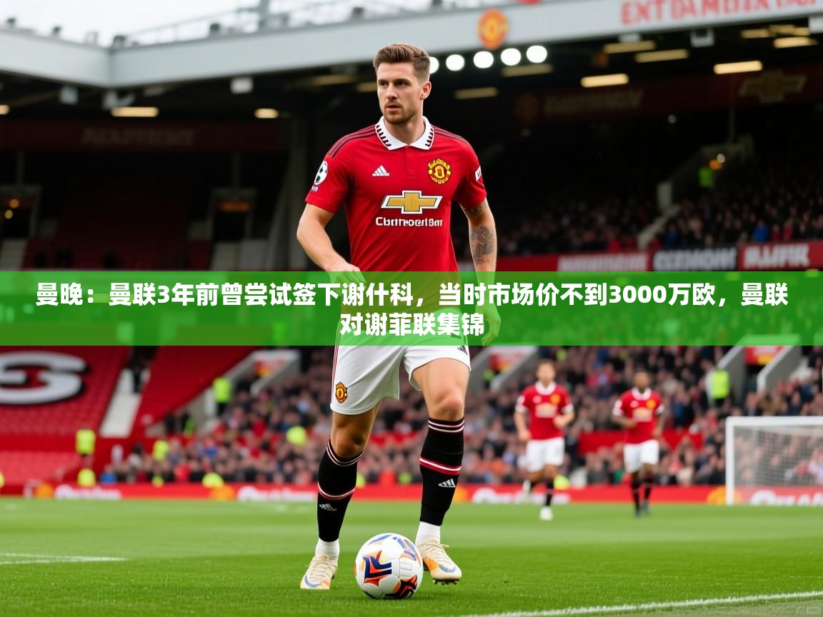 2025米兰体育官方有实力曼晚:曼联3年前曾尝试签下谢什科,当时市场价不到3000万欧,曼联对谢菲联集锦 第4张