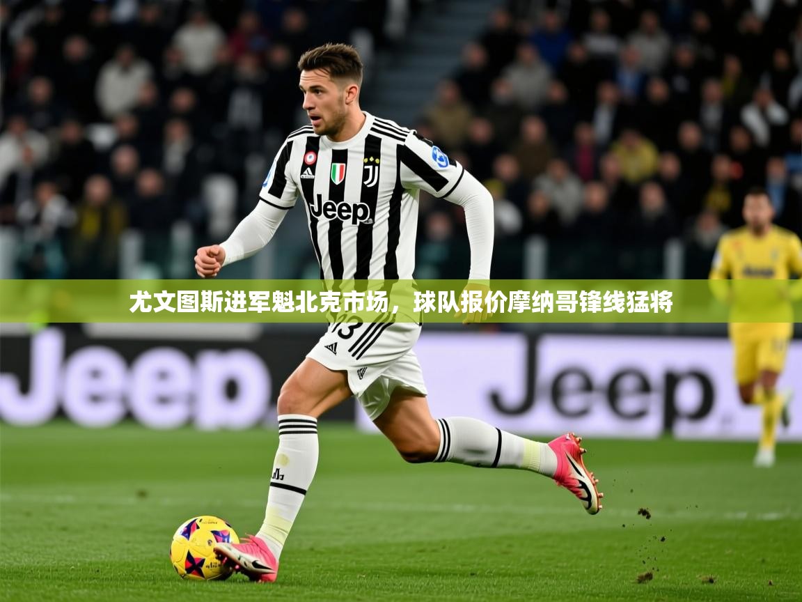 2026米兰体育官网入口尤文图斯进军魁北克市场，球队报价摩纳哥锋线猛将  第2张