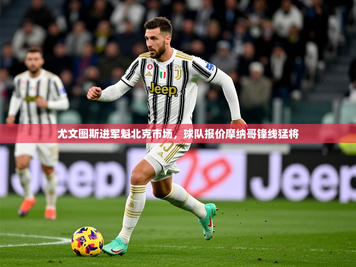 2026米兰体育官网入口尤文图斯进军魁北克市场，球队报价摩纳哥锋线猛将  第4张